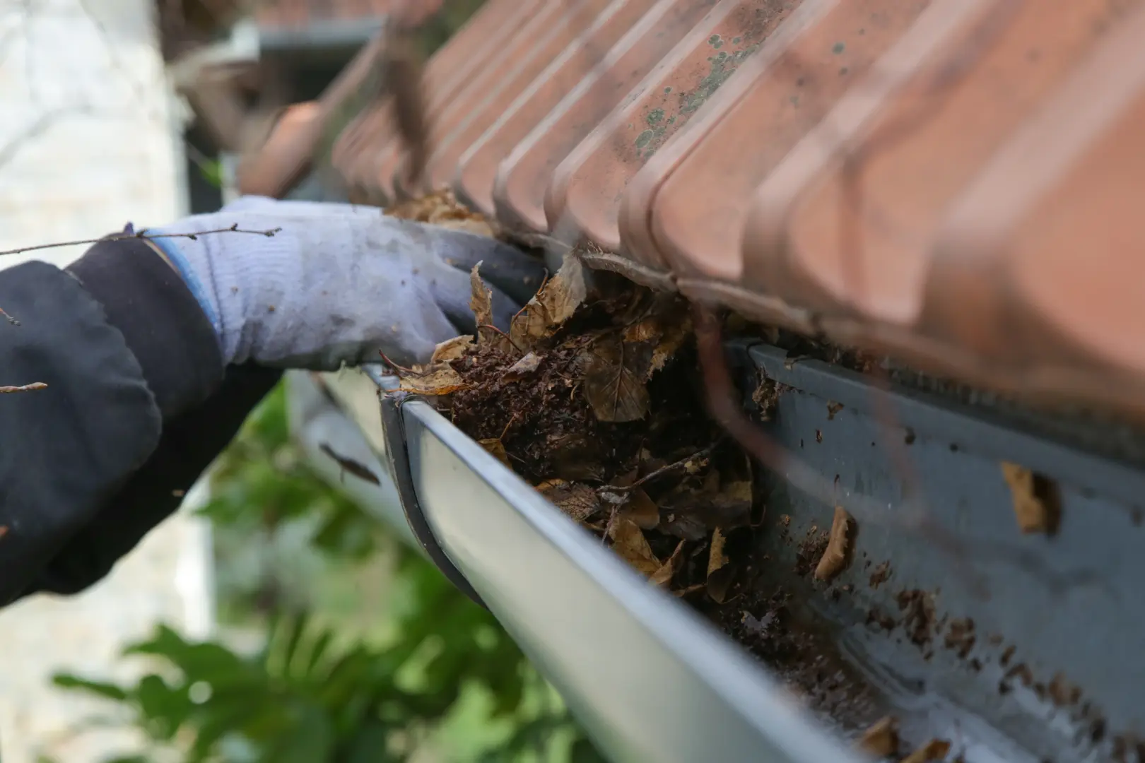 Gutter installation, cleaning and protection